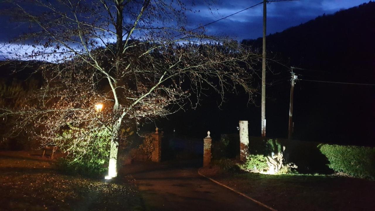 Villa Le Wineck Dambach Esterno foto