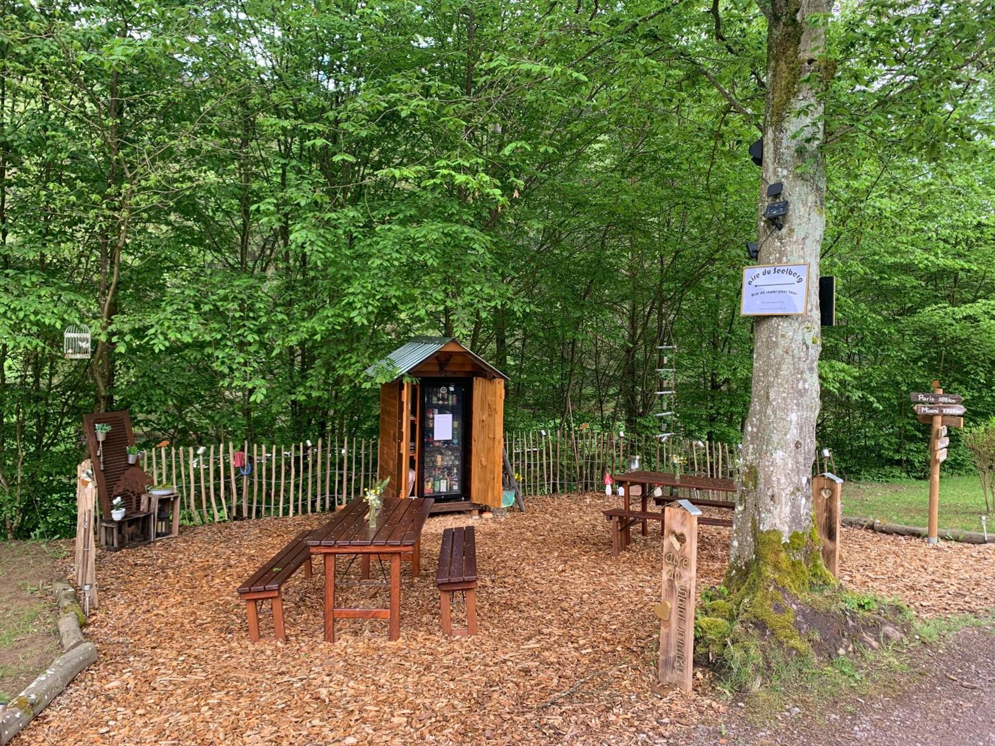 Villa Le Wineck Dambach Esterno foto