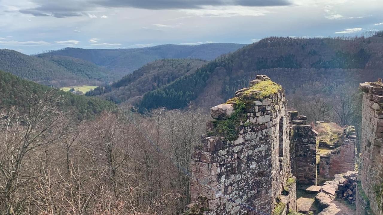 Villa Le Wineck Dambach Esterno foto