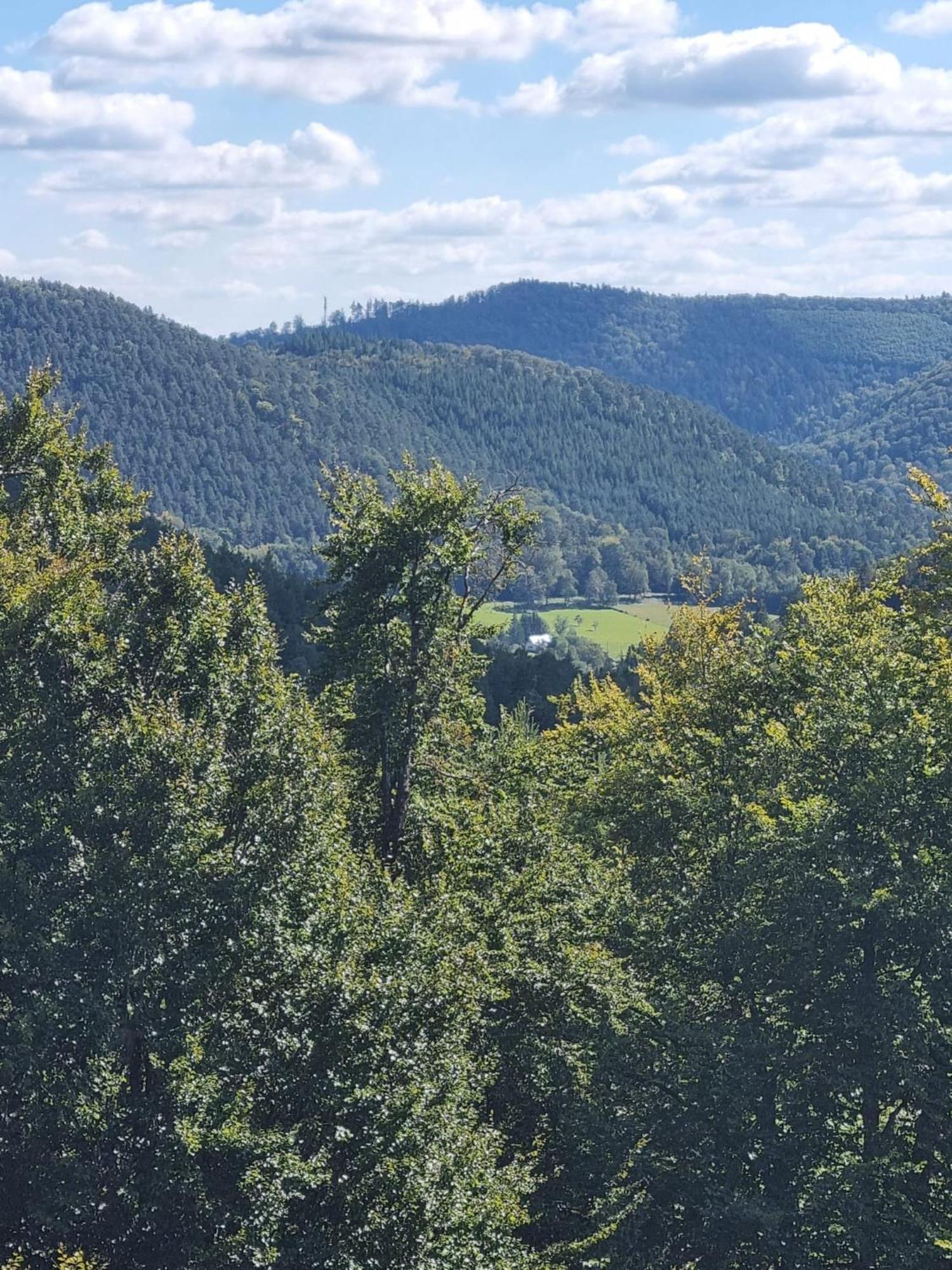 Villa Le Wineck Dambach Esterno foto