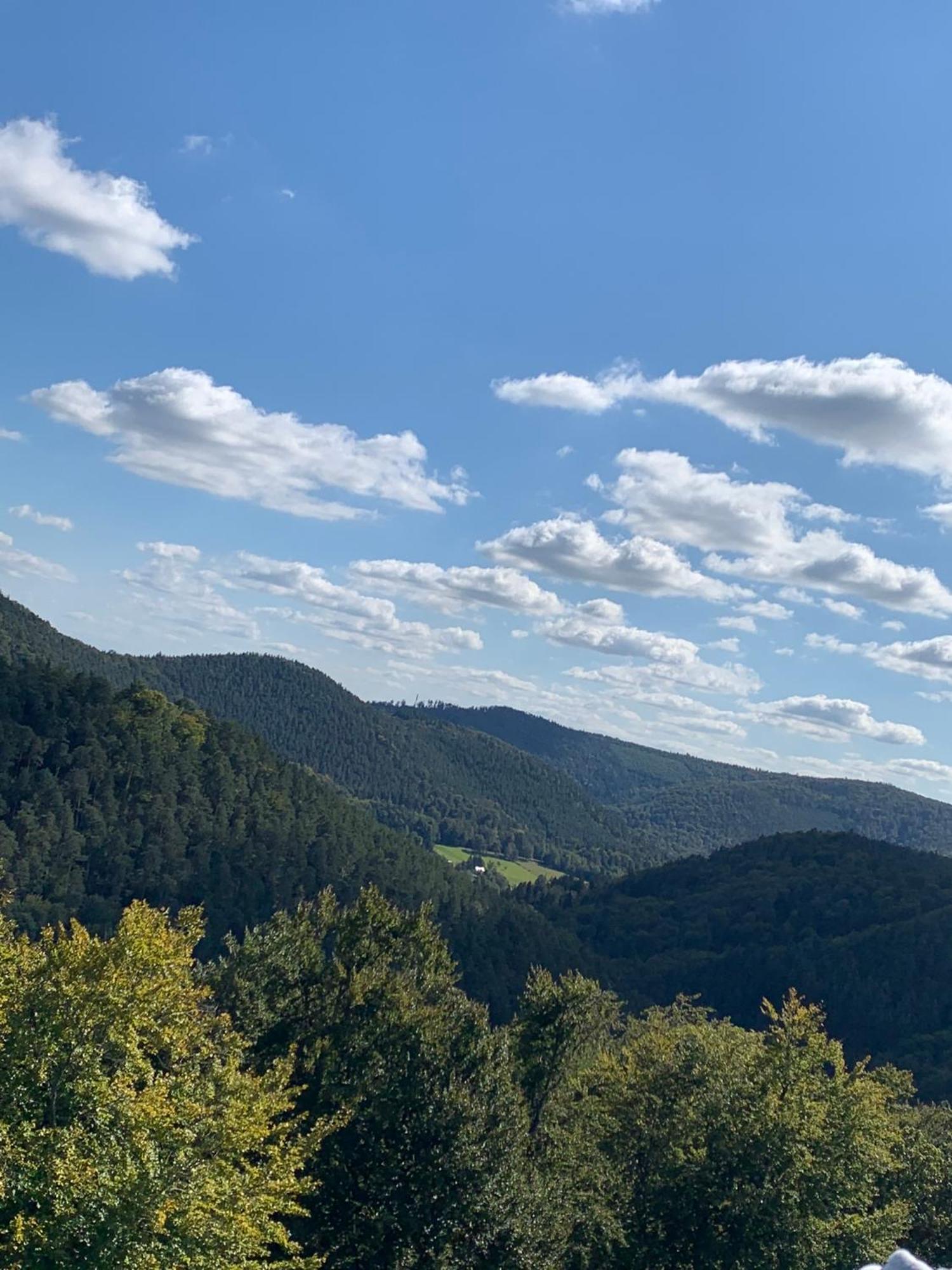 Villa Le Wineck Dambach Esterno foto