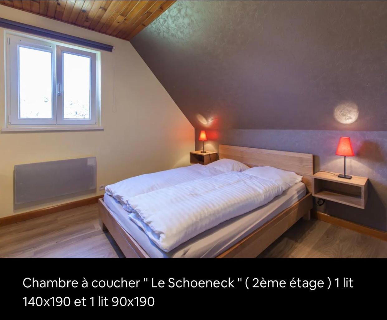 Villa Le Wineck Dambach Esterno foto