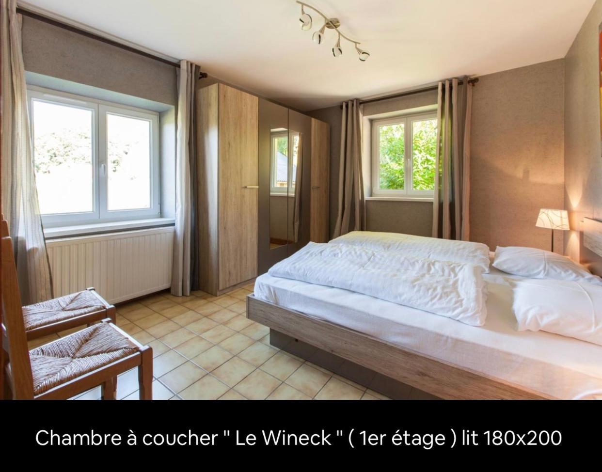 Villa Le Wineck Dambach Esterno foto