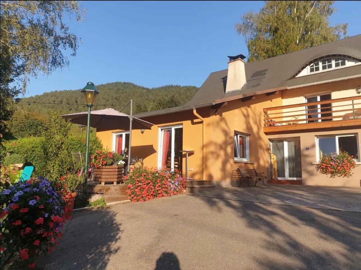 Villa Le Wineck Dambach Esterno foto