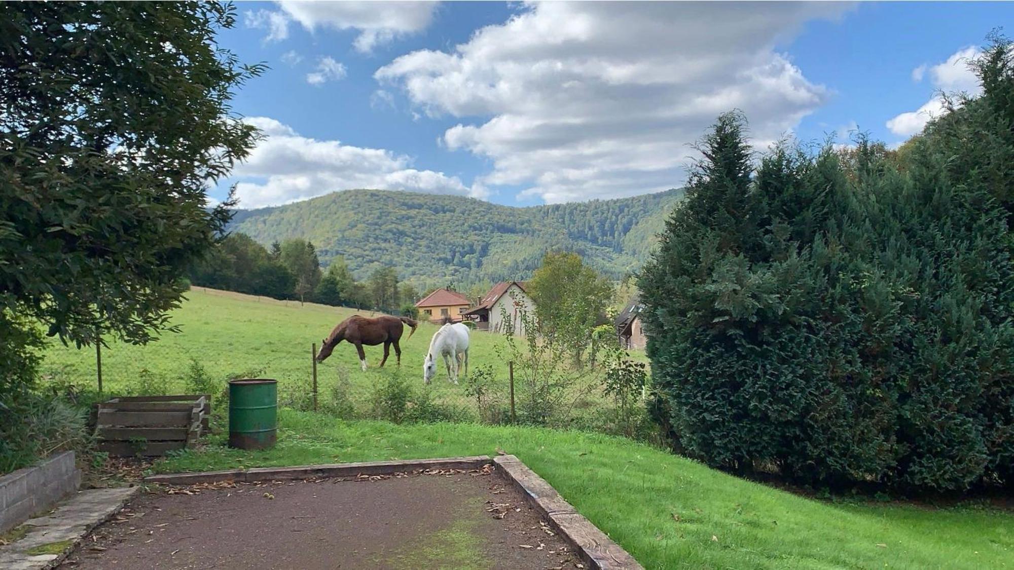 Villa Le Wineck Dambach Esterno foto