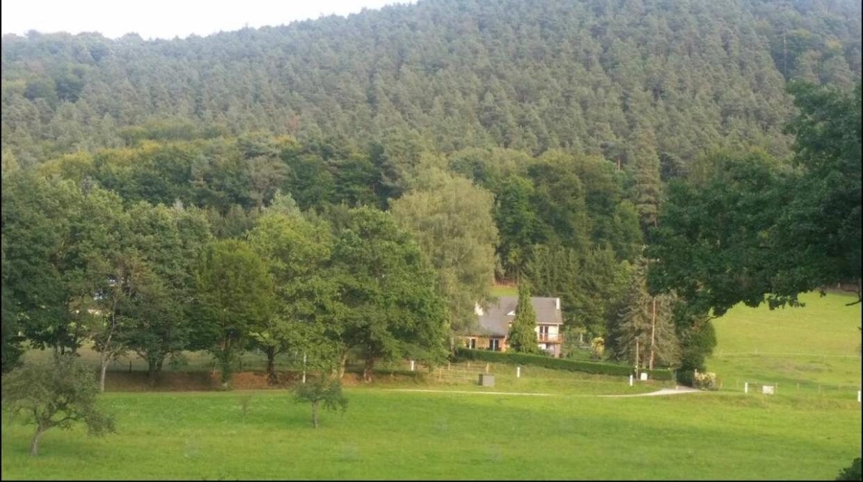 Villa Le Wineck Dambach Esterno foto