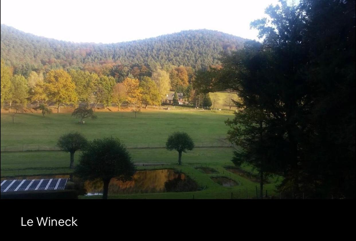 Villa Le Wineck Dambach Esterno foto