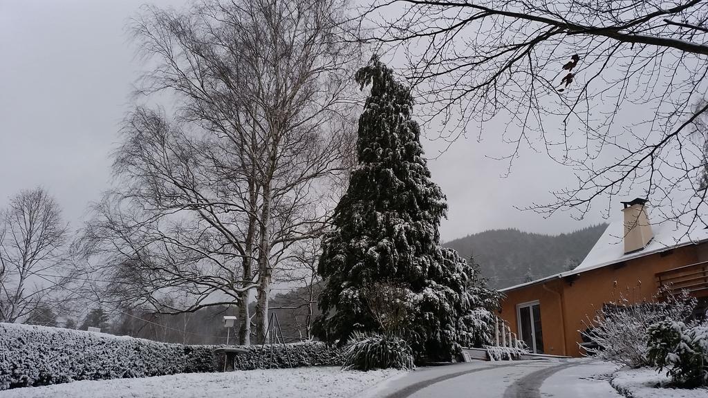 Villa Le Wineck Dambach Esterno foto
