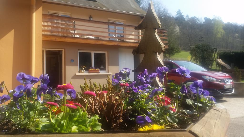 Villa Le Wineck Dambach Esterno foto