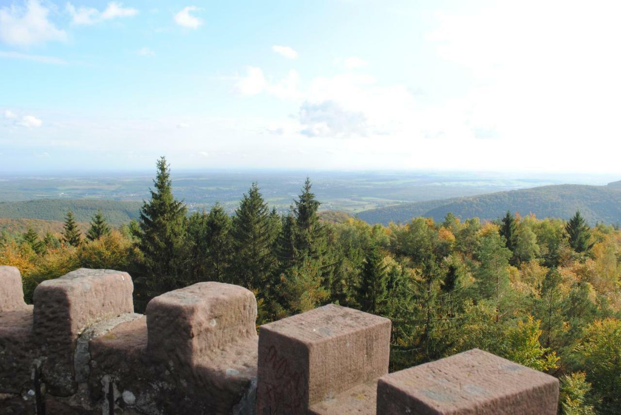 Villa Le Wineck Dambach Esterno foto